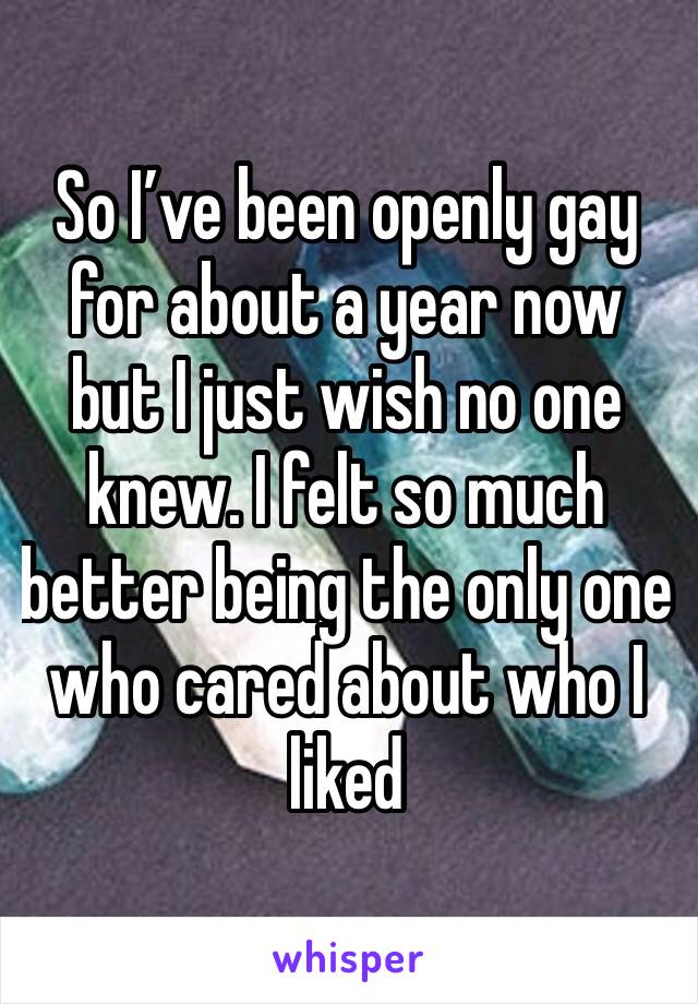 So I’ve been openly gay for about a year now but I just wish no one knew. I felt so much better being the only one who cared about who I liked 