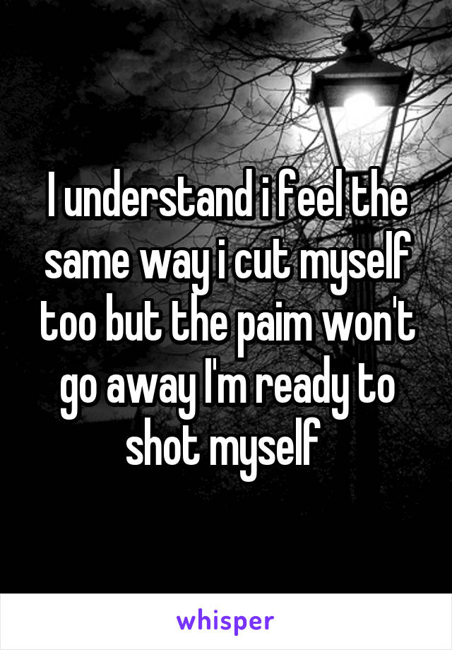 I understand i feel the same way i cut myself too but the paim won't go away I'm ready to shot myself 