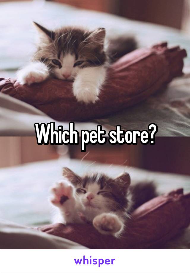 Which pet store?
