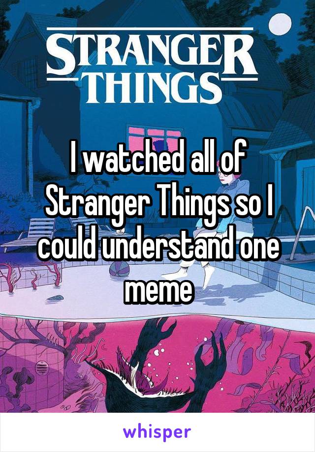 I watched all of Stranger Things so I could understand one meme