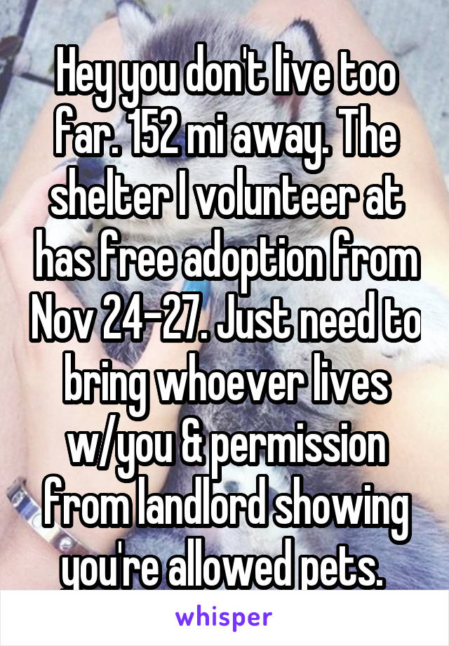 Hey you don't live too far. 152 mi away. The shelter I volunteer at has free adoption from Nov 24-27. Just need to bring whoever lives w/you & permission from landlord showing you're allowed pets. 