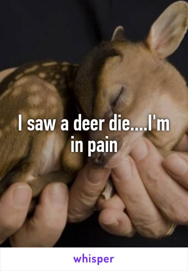 I saw a deer die....I'm in pain
