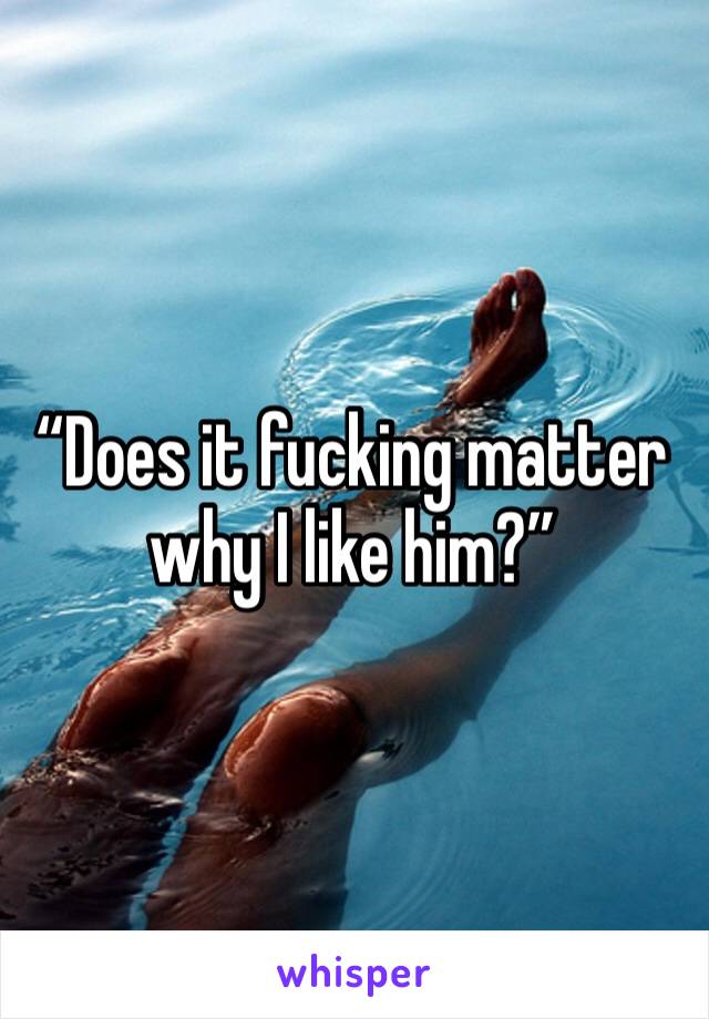 “Does it fucking matter why I like him?”