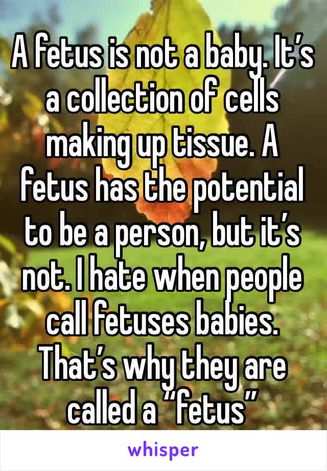 A fetus is not a baby. It’s a collection of cells making up tissue. A fetus has the potential to be a person, but it’s not. I hate when people call fetuses babies. That’s why they are called a “fetus”