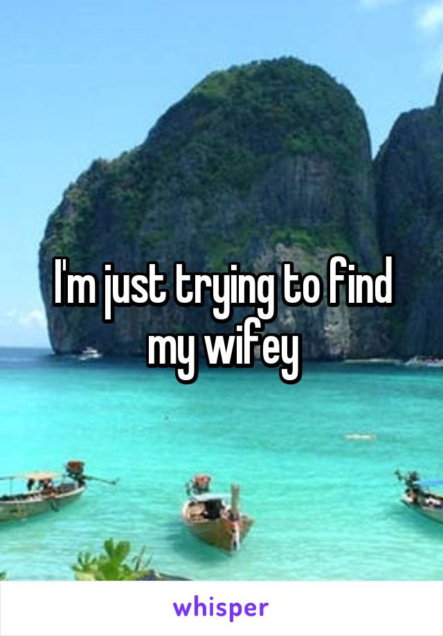 I'm just trying to find my wifey