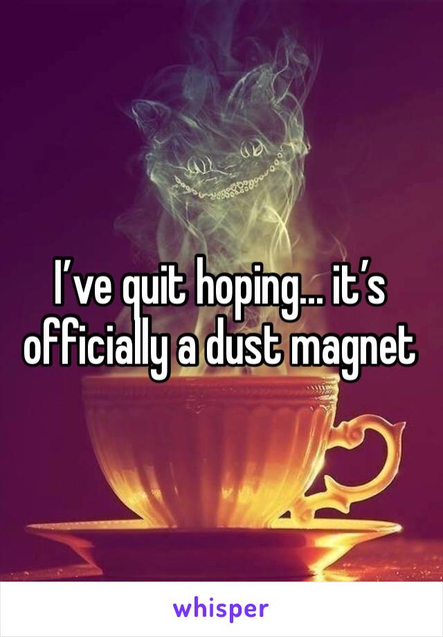 I’ve quit hoping... it’s officially a dust magnet 