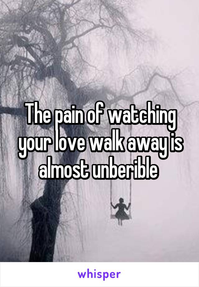 The pain of watching your love walk away is almost unberible 
