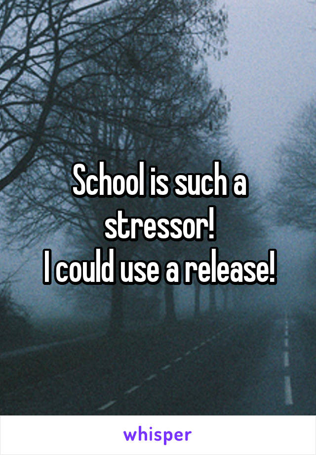 School is such a stressor!
I could use a release!
