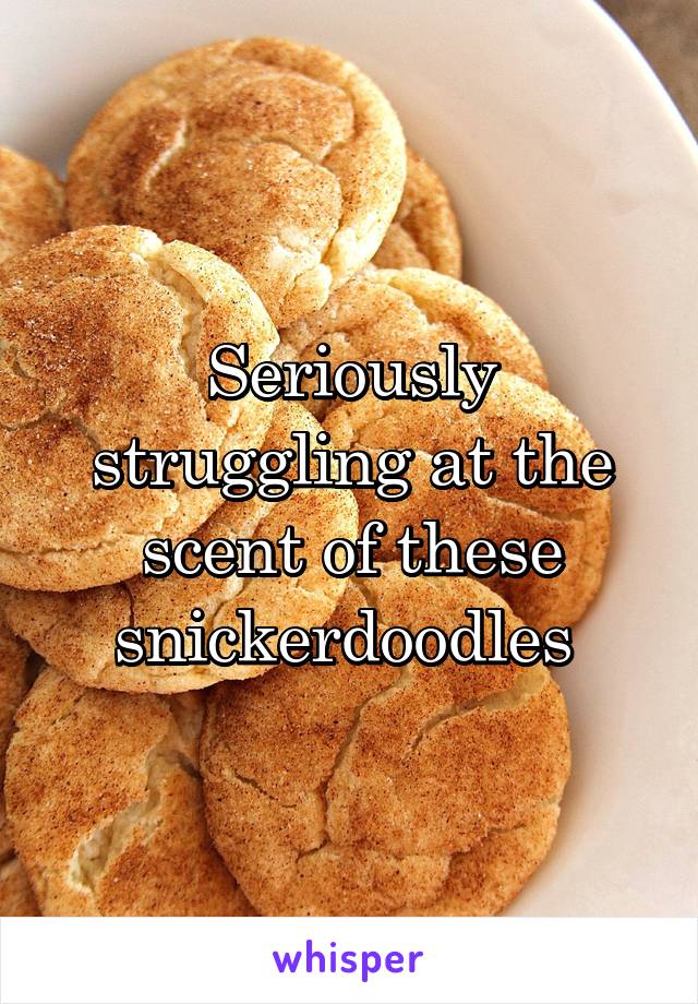 Seriously struggling at the scent of these snickerdoodles 