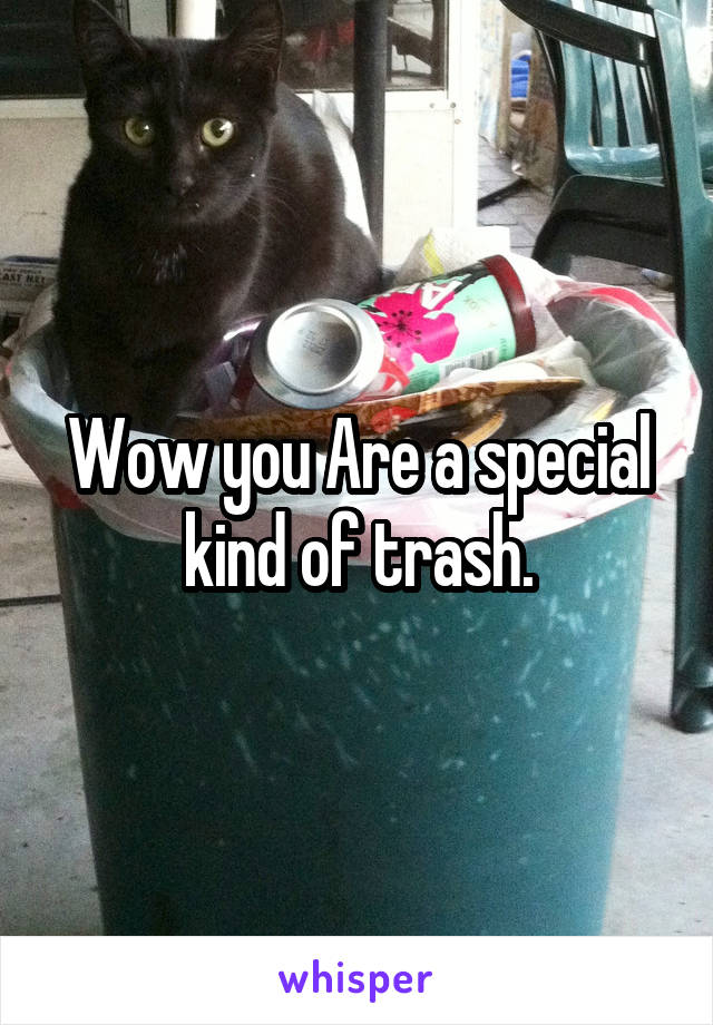 Wow you Are a special kind of trash.