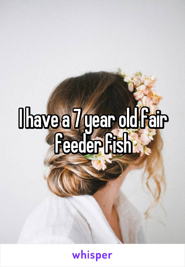 I have a 7 year old fair feeder fish