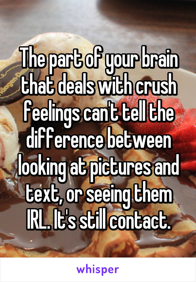 The part of your brain that deals with crush feelings can't tell the difference between looking at pictures and text, or seeing them IRL. It's still contact.