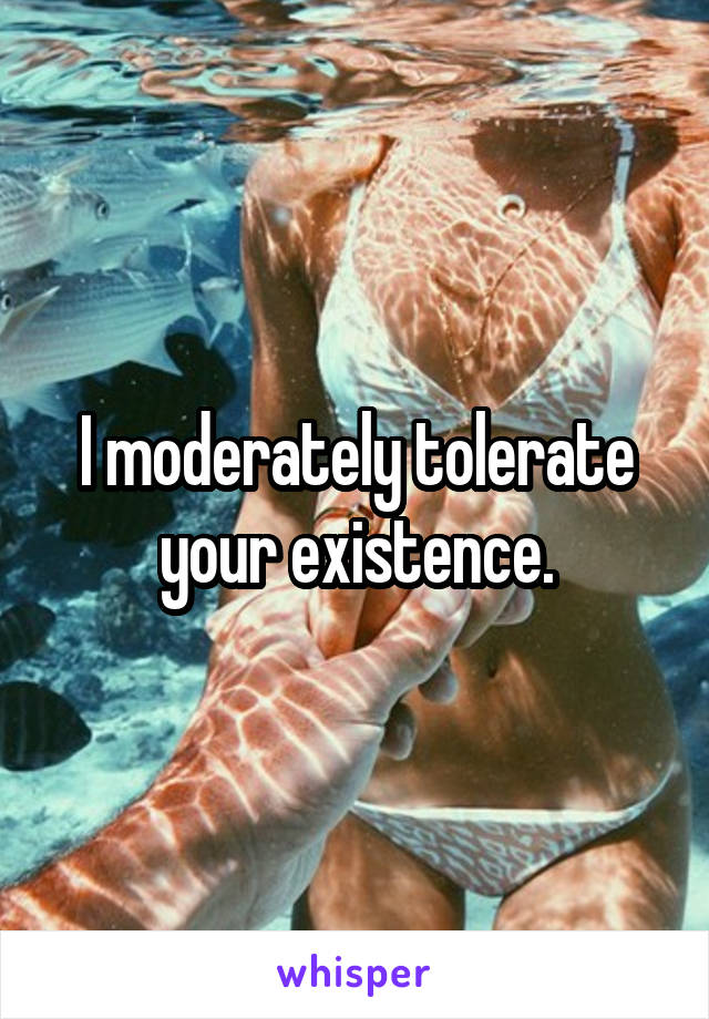 I moderately tolerate your existence.