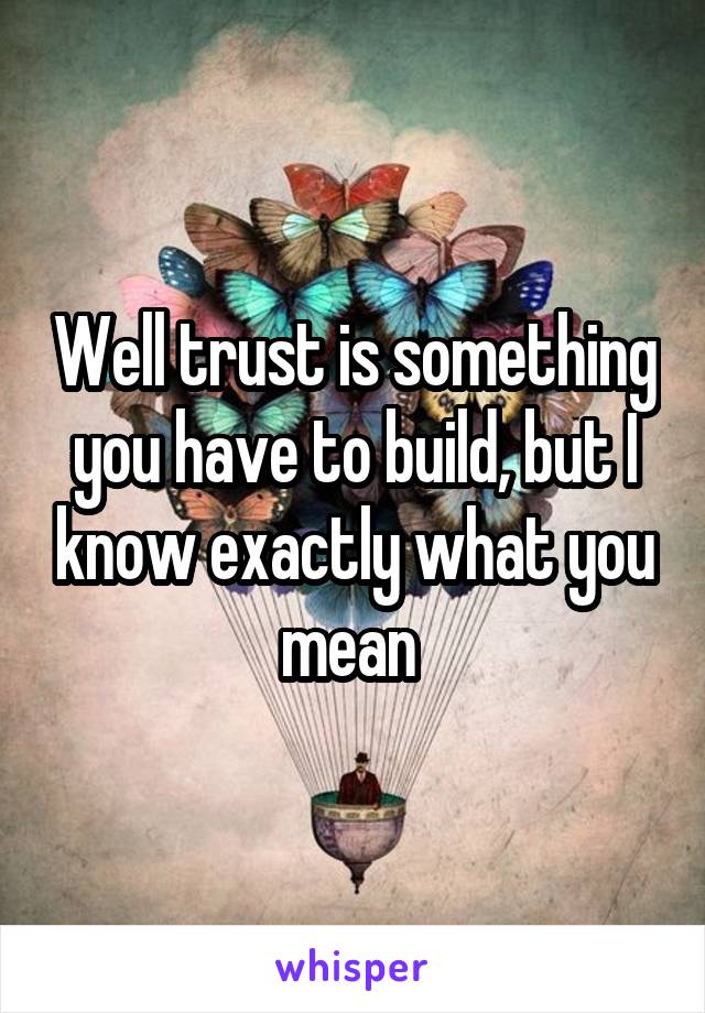 Well trust is something you have to build, but I know exactly what you mean 