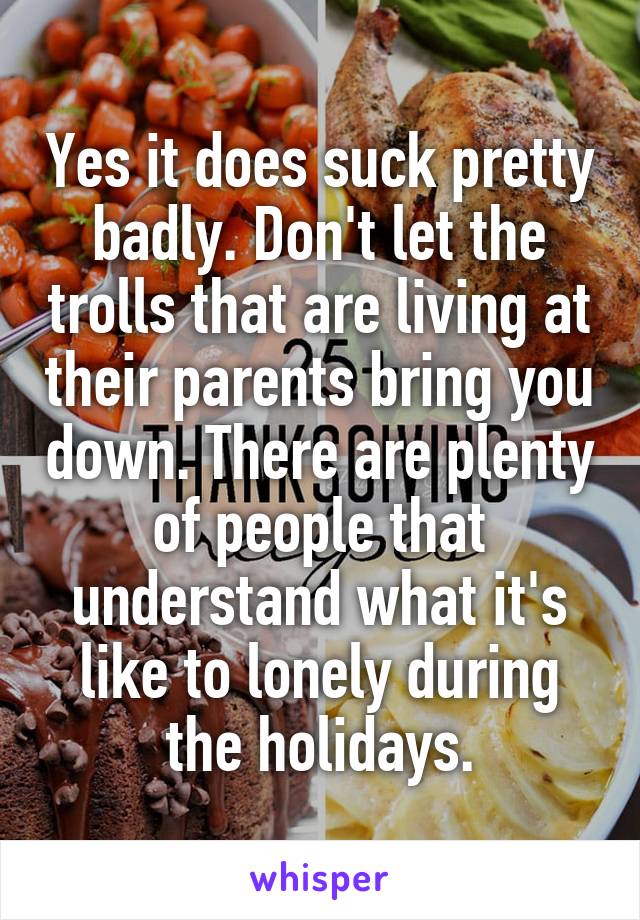 Yes it does suck pretty badly. Don't let the trolls that are living at their parents bring you down. There are plenty of people that understand what it's like to lonely during the holidays.