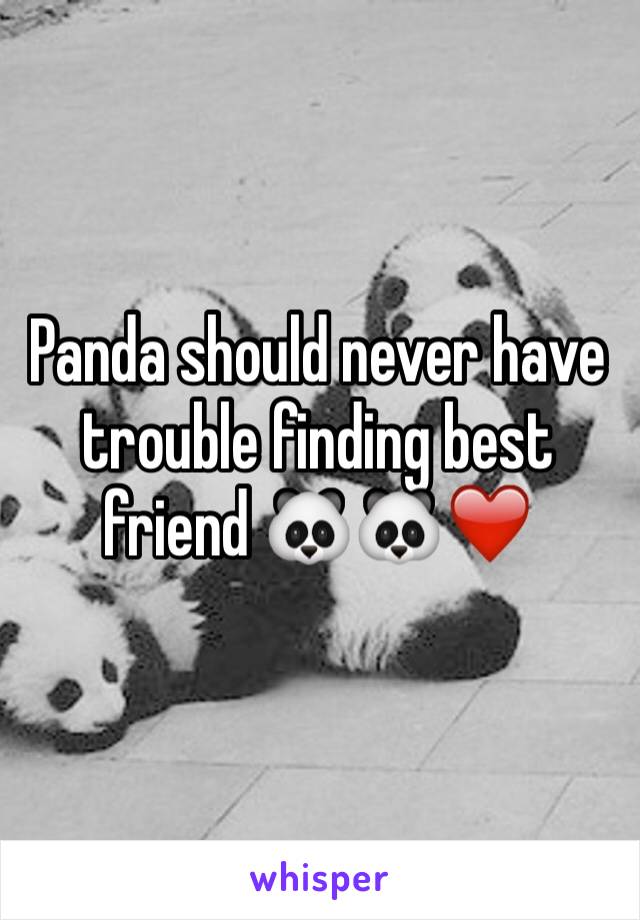 Panda should never have trouble finding best friend 🐼🐼❤️️