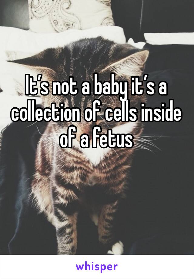 It’s not a baby it’s a collection of cells inside of a fetus