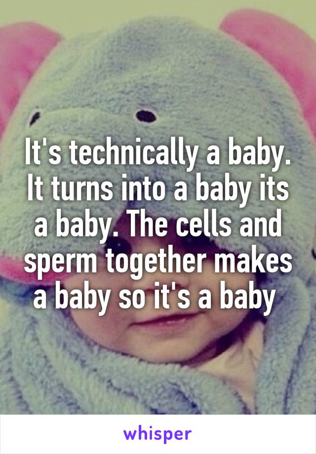 It's technically a baby. It turns into a baby its a baby. The cells and sperm together makes a baby so it's a baby 