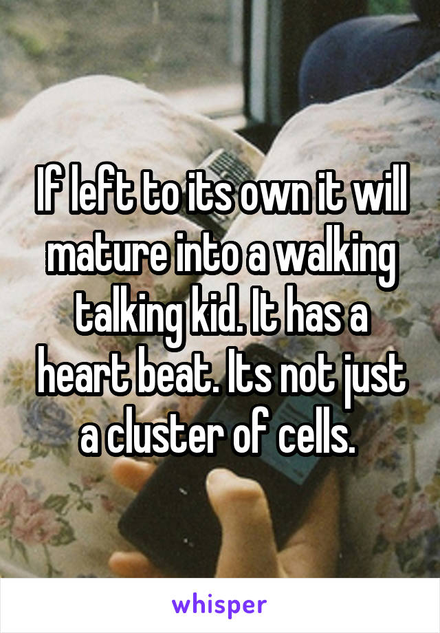 If left to its own it will mature into a walking talking kid. It has a heart beat. Its not just a cluster of cells. 