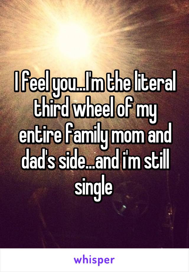 I feel you...I'm the literal third wheel of my entire family mom and dad's side...and i'm still single 