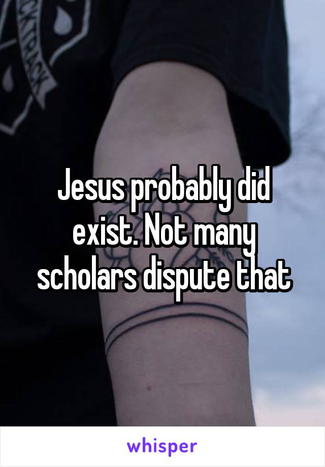 Jesus probably did exist. Not many scholars dispute that