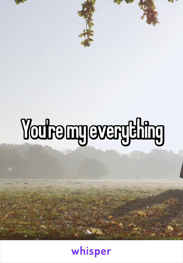 You're my everything