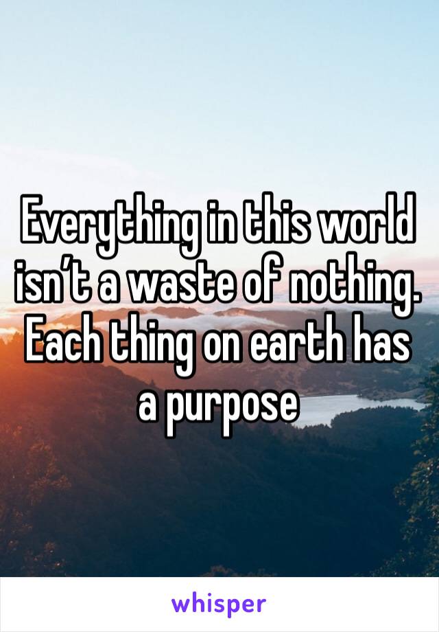 Everything in this world isn’t a waste of nothing. Each thing on earth has a purpose 