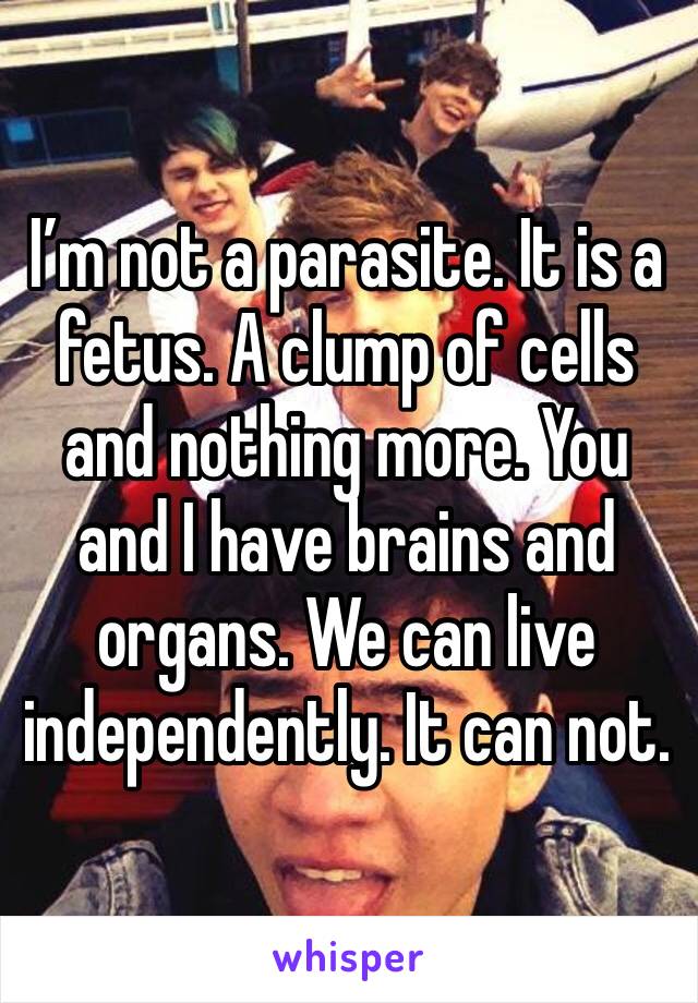 I’m not a parasite. It is a fetus. A clump of cells and nothing more. You and I have brains and organs. We can live independently. It can not.