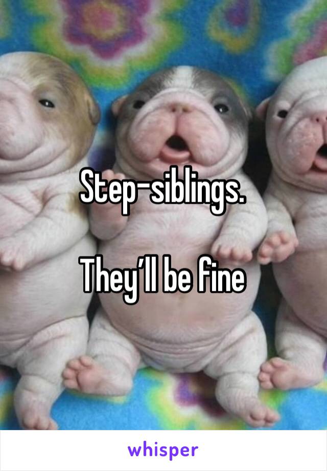 Step-siblings. 

They’ll be fine 