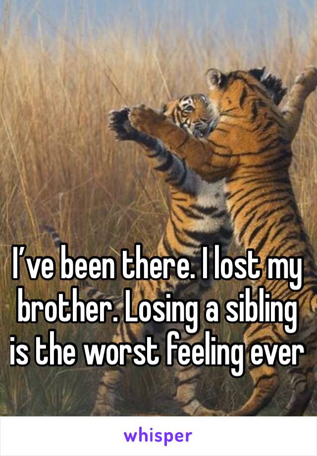 I’ve been there. I lost my brother. Losing a sibling is the worst feeling ever 