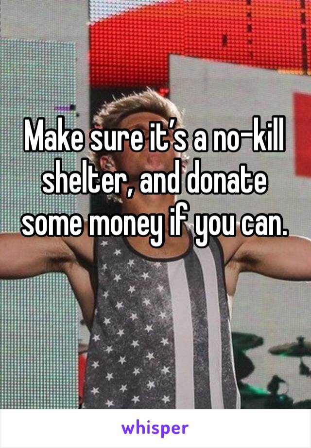 Make sure it’s a no-kill shelter, and donate some money if you can.