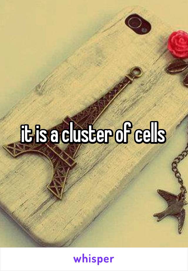 it is a cluster of cells 