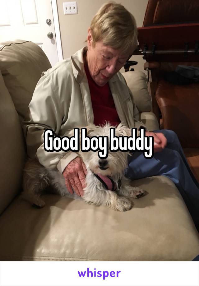 Good boy buddy 
