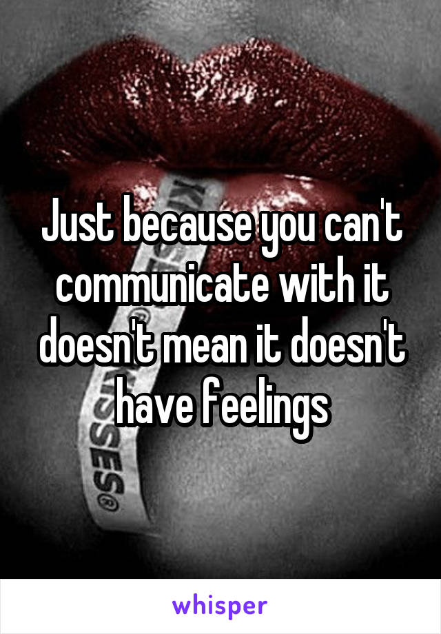 Just because you can't communicate with it doesn't mean it doesn't have feelings