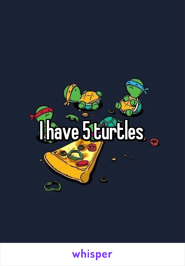 I have 5 turtles 
