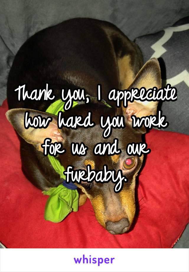 Thank you, I appreciate how hard you work for us and our furbaby.