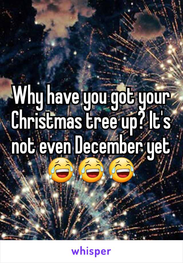 Why have you got your Christmas tree up? It's not even December yet 😂😂😂