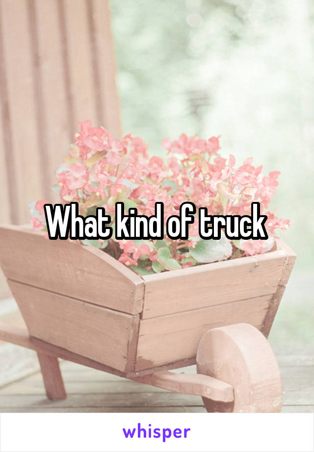 What kind of truck 