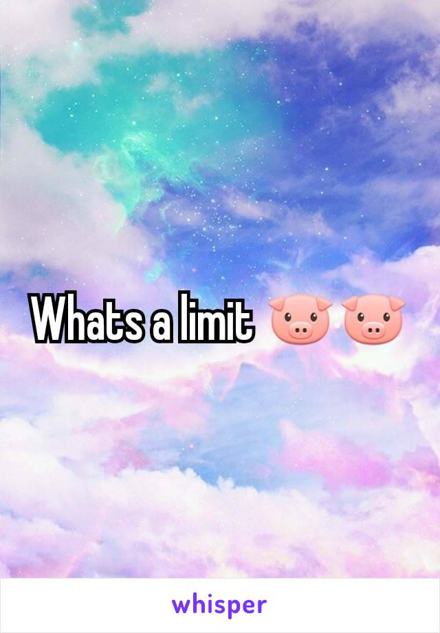 Whats a limit 🐷🐷