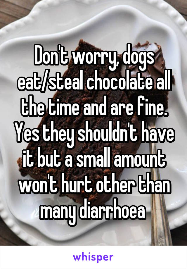 Don't worry, dogs eat/steal chocolate all the time and are fine. Yes they shouldn't have it but a small amount won't hurt other than many diarrhoea 