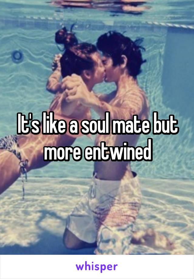 It's like a soul mate but more entwined