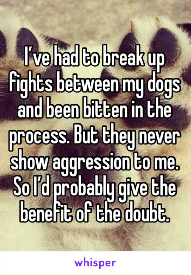 I’ve had to break up fights between my dogs and been bitten in the process. But they never show aggression to me. So I’d probably give the benefit of the doubt.