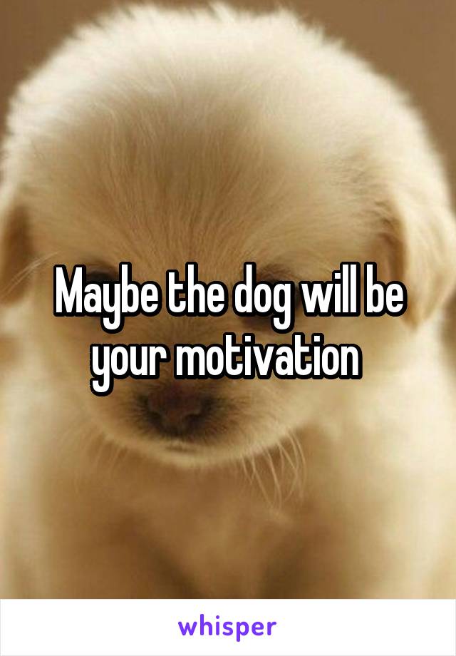 Maybe the dog will be your motivation 