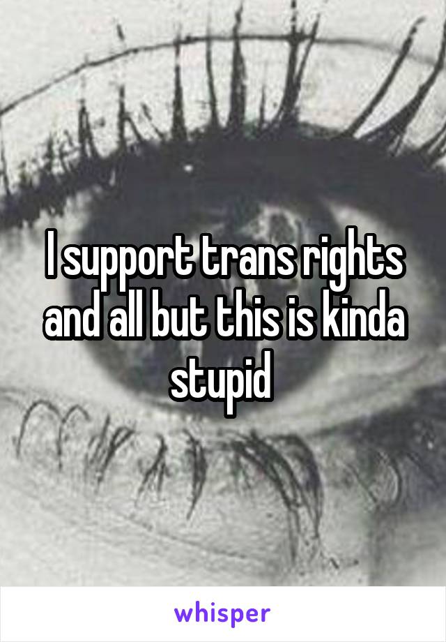 I support trans rights and all but this is kinda stupid 