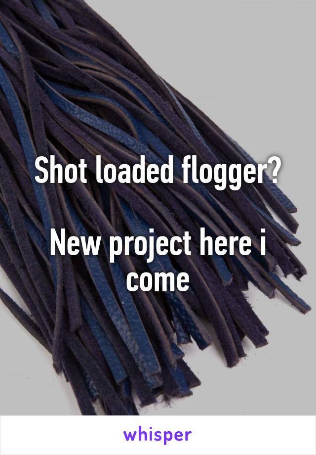 Shot loaded flogger?

New project here i come