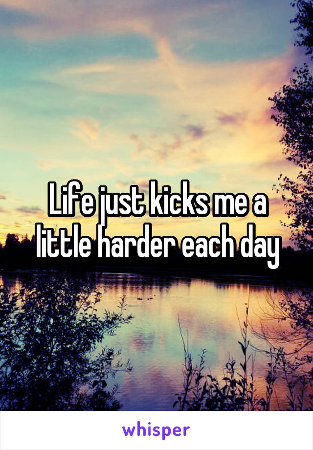 Life just kicks me a little harder each day