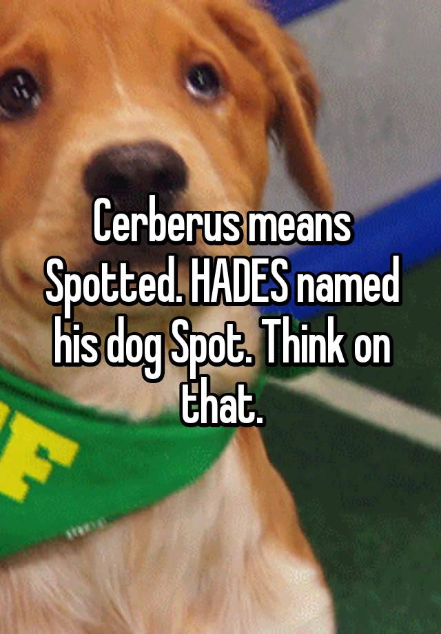 cerberus-means-spotted-hades-named-his-dog-spot-think-on-that