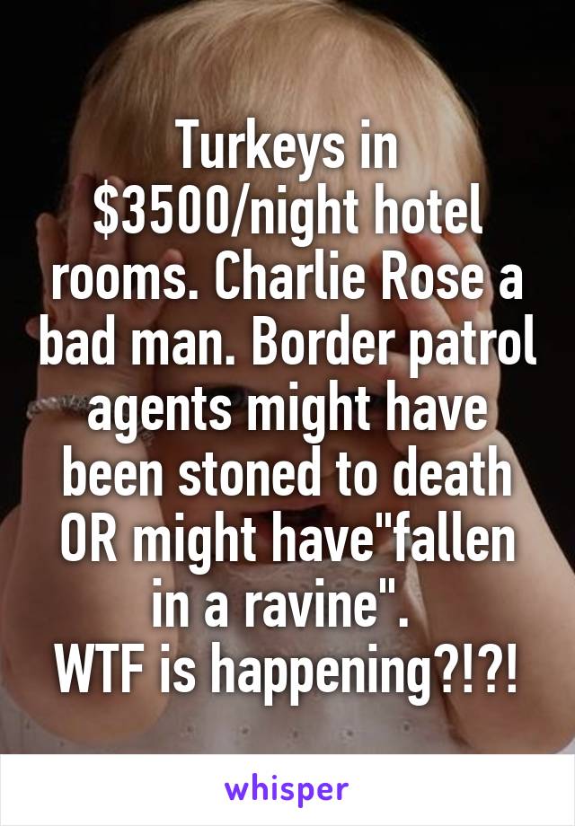 Turkeys in $3500/night hotel rooms. Charlie Rose a bad man. Border patrol agents might have been stoned to death OR might have"fallen in a ravine". 
WTF is happening?!?!