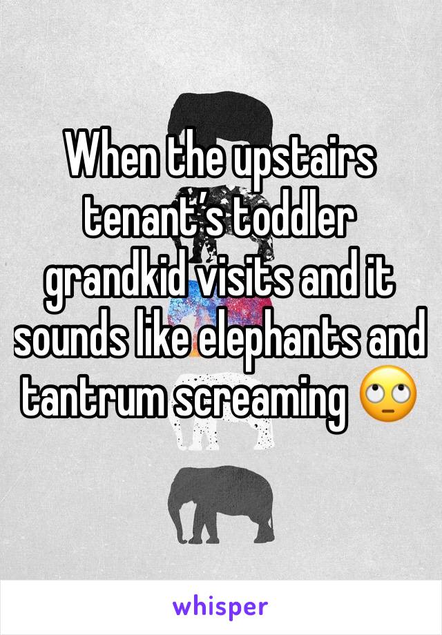 When the upstairs tenant’s toddler grandkid visits and it sounds like elephants and  tantrum screaming 🙄
