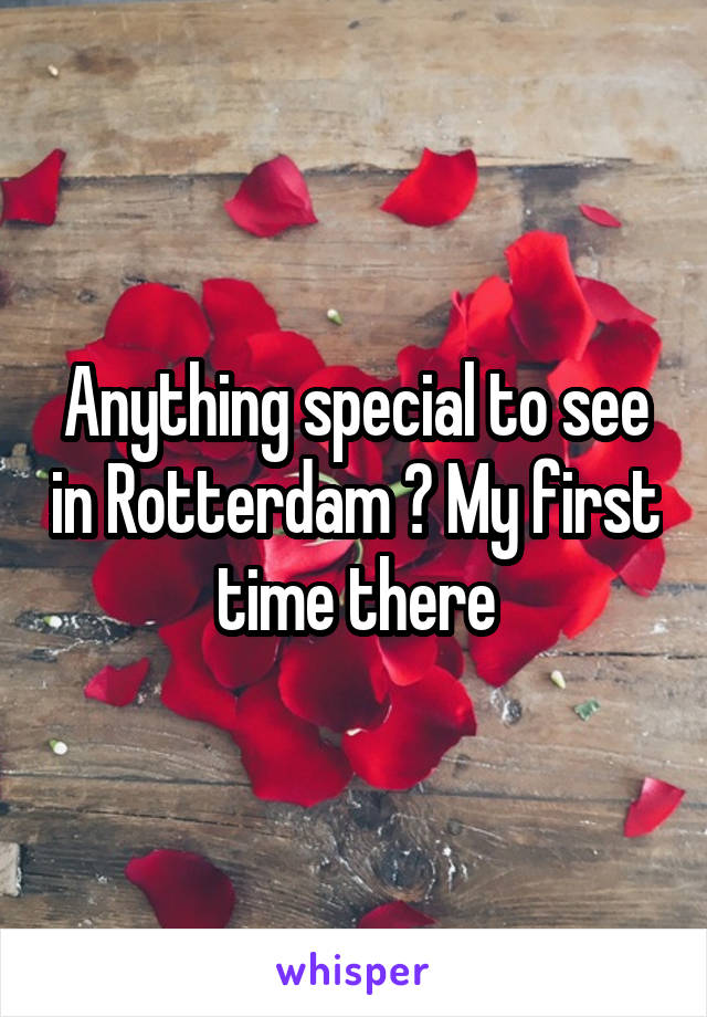 Anything special to see in Rotterdam ? My first time there